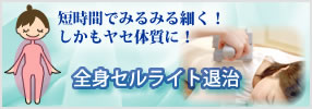 全身セルライト退治