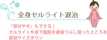 全身セルライト退治